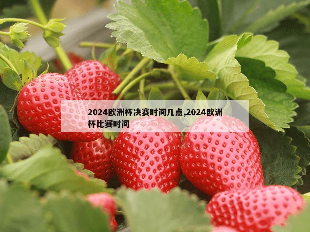 2024欧洲杯决赛时间几点,2024欧洲杯比赛时间