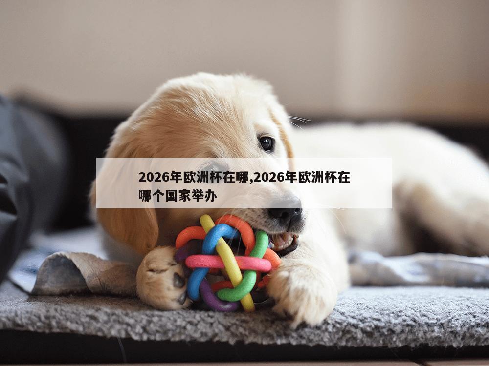 2026年欧洲杯在哪,2026年欧洲杯在哪个国家举办