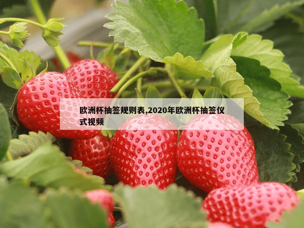 欧洲杯抽签规则表,2020年欧洲杯抽签仪式视频