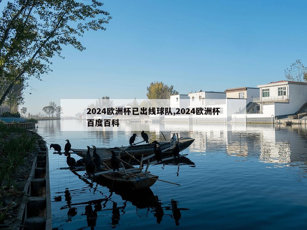 2024欧洲杯已出线球队,2024欧洲杯百度百科