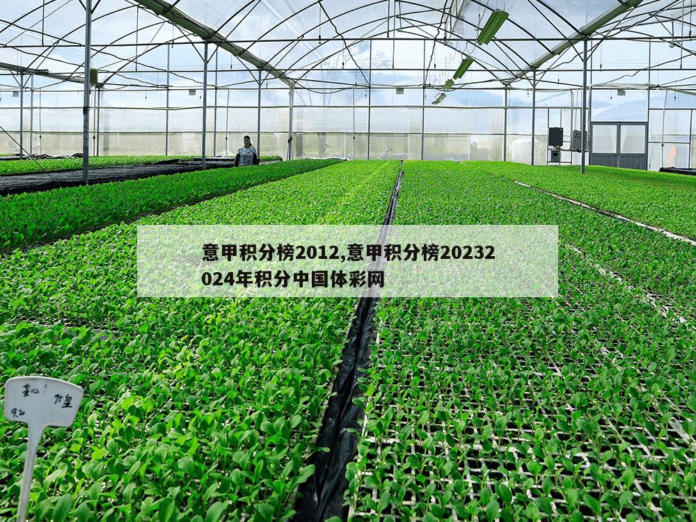 意甲积分榜2012,意甲积分榜20232024年积分中国体彩网